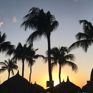 Meet your Posher, Alexa